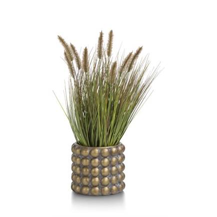 Coco Maison Pennisetum Grass plant H58cm